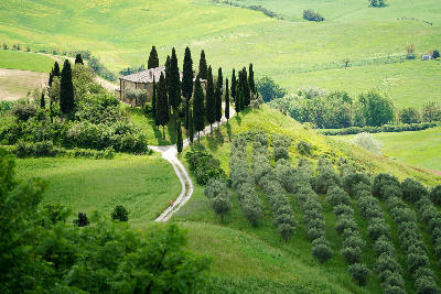 Podere Belvedere, San Quirico d'Orcia, Val d'Orcia, Tuscany, Italy 