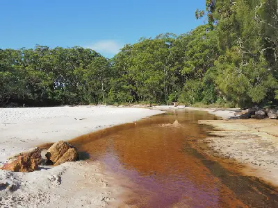 Tea-coloured Green Patch Creek winds between bright white sandbanks and dense coastal forest.