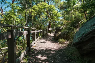 Shaded walking trail through native bushland at Bradleys Head, with sandstone outcrops and a timber railing along the harbour-side path.