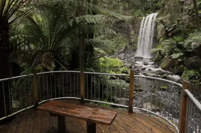 Wooden viewing platform and bench overlooking Hopetoun Falls amid dense rainforest in Victoria’s Otway Ranges.