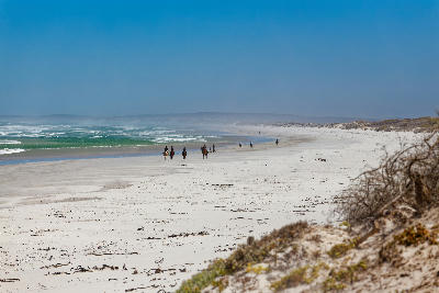 People walking along the broad white sands of Sixteen Mile Beach near Yzerfontein, with Atlantic waves and coastal dunes stretching into the distance.