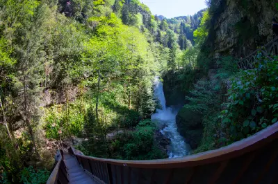 Palovit Waterfall cascading through a densely forested gorge, viewed from the wooden access walkway in Kaçkar Mountains National Park, Rize, Turkey.