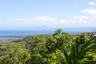 A horizontal landscape view framed by lush green tropical foliage in the foreground, looking over a dense rainforest canopy towards a coastal river inlet, blue ocean waters, and a distant mountain peak under a cloudy sky.
