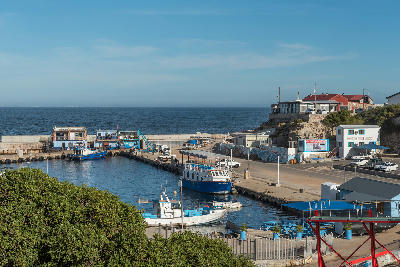 Whale watching boats and fishing vessels in Hermanus Harbour along the Whale Coast of South Africa