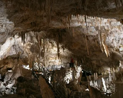 Dense limestone stalactites and stalagmites surrounding visitor walkways inside Mammoth Cave near Margaret River, Western Australia.