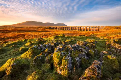 Ribblehead Viaduct stretching across sunlit Yorkshire Dales moorland, with moss-covered limestone rocks in the foreground and Ingleborough in the background.