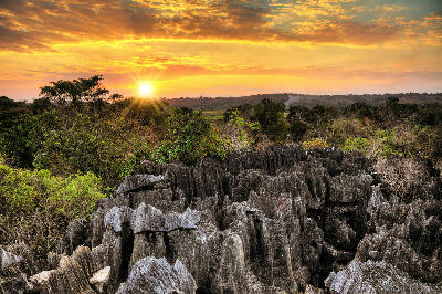 Sunrise above the limestone formations of Little Tsingy in Tsingy de Bemaraha National Park, Madagascar