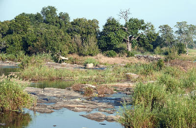 View of the Sabie River flowing through rocky outcrops and riverine vegetation in Kruger National Park.