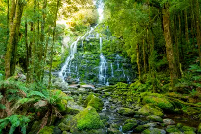Nelson Falls surrounded by lush temperate rainforest in Franklin-Gordon Wild Rivers National Park, Tasmania.