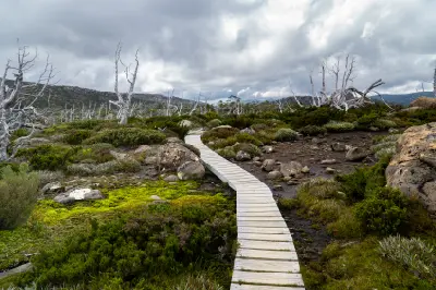 Narrow walking path through alpine moorland beside a tarn and mist-covered hills in Mount Field National Park, Tasmania.