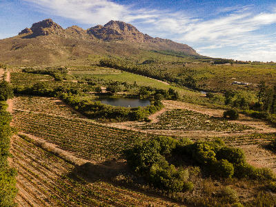 Aerial landscape view of vineyard rows, farm roads, and mountain scenery surrounding Waterford Estate in Stellenbosch, Western Cape, South Africa.