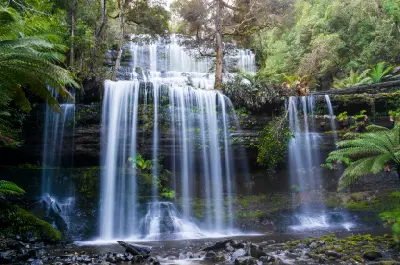 Russell Falls cascading over moss-covered rock ledges amid lush rainforest in Mount Field National Park, Tasmania.