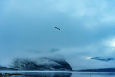 Milford Sound / Piopiotahi, South Island, New Zealand