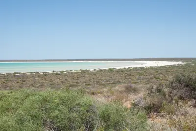 Pale turquoise water and white shoreline bordered by low coastal scrub near Monkey Mia.
