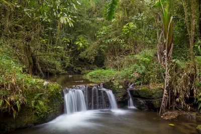 Small jungle waterfall surrounded by dense rainforest vegetation in Ranomafana National Park, Madagascar