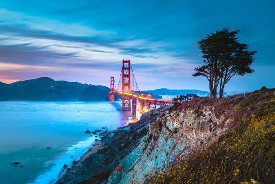 Golden Gate Bridge at blue hour viewed from an elevated coastal cliff above Baker Beach
