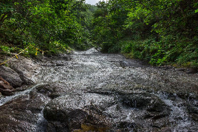 Shallow hot spring water flowing over smooth rock slabs at Kamuiwakka Hot Falls in forest