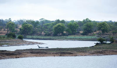 Wide view of the Groot Letaba River winding through sandy banks and riverine vegetation in Kruger National Park.
