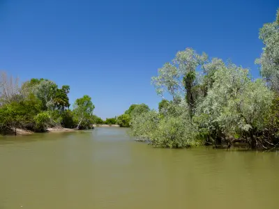 Calm greenish water bordered by paperbark trees, pandanus palms and dense tropical vegetation at Yellow Water Billabong in Kakadu National Park, Northern Territory, Australia.