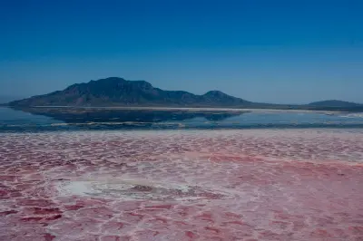 Pink algae and white salt formations on the shallow waters of Lake Natron with Rift Valley mountains reflected beneath a clear blue sky in northern Tanzania.