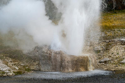 Riverside Geyser eruption Firehole River Yellowstone