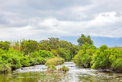 Breede River surrounded by green vegetation near Swellendam in the Western Cape, South Africa.