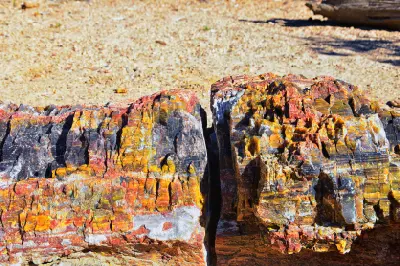 Close-up of petrified wood displaying vivid bands of red, orange, yellow, grey and dark mineral colours along the park trail.