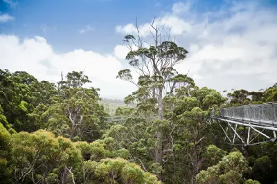 Elevated Tree Top Walk crossing the forest canopy at the Valley of the Giants in Western Australia.
