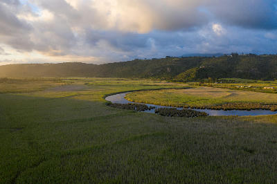 Aerial view of the Serpentine River meandering through wetlands and reedbeds in Wilderness on the Garden Route, South Africa.