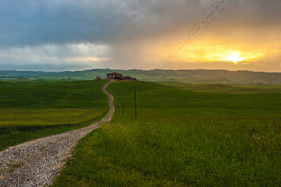 Dirt road leading to Podere Terrapille farmhouse in the rolling hills of Val d’Orcia, Tuscany, Italy.