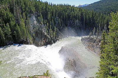 View from above Wapta Falls plunging into a mist-filled canyon surrounded by dense evergreen forest