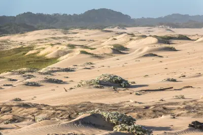 Wind-shaped coastal dunes and indigenous forest at Cape Vidal in iSimangaliso Wetland Park, KwaZulu-Natal, South Africa.