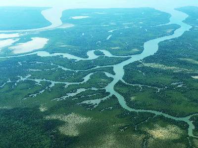 Aerial view of the Rufiji River winding through Nyerere National Park, Tanzania.