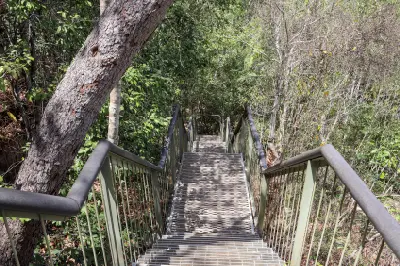 Metal staircase with handrails descending through dense tropical bushland towards Florence Falls in Litchfield National Park, Northern Territory, Australia.