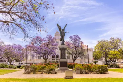 Historic town square with monument, jacaranda trees and the Town Hall in Graaff-Reinet, Eastern Cape, South Africa.