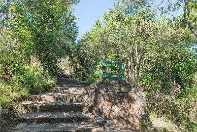Stone steps and directional signs at God’s Window near Graskop, South Africa, leading through indigenous rainforest vegetation toward viewpoints overlooking the Mpumalanga escarpment and Lowveld.