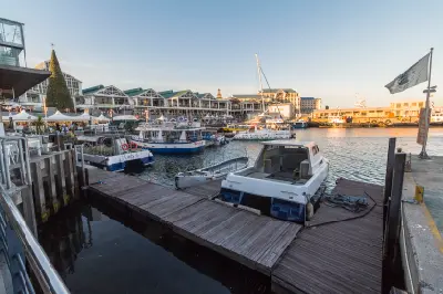 Boats moored at the V&A Waterfront harbour in Cape Town during late afternoon light.