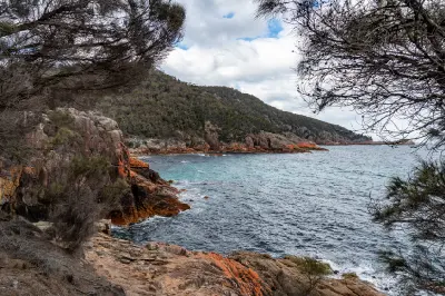 View through coastal trees across the rocky shoreline and sheltered waters of Sleepy Bay, Freycinet National Park, Tasmania.