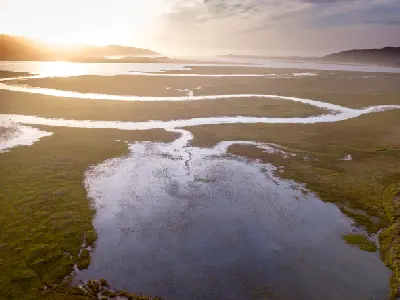 Aerial view of wetland channels and marshes within the Touw River Estuary near Wilderness in the Western Cape.