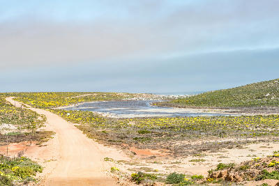 Gravel road leading toward the Green River estuary and coastal wetlands at Groenriviersmond in Namaqua National Park, Northern Cape, South Africa.