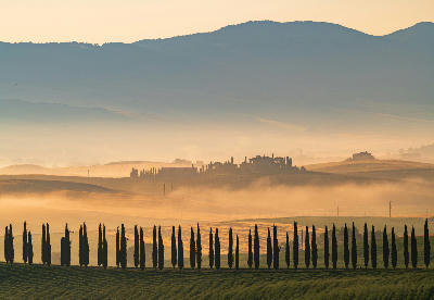The rolling hills and green fields at sunrise, Tuscany, Italy