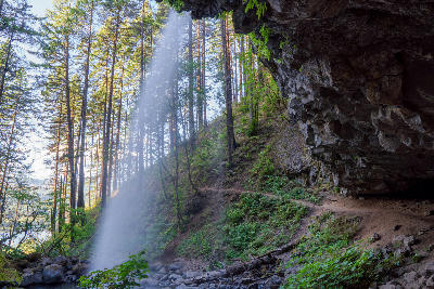 Upper Horsetail Falls in the Columbia River Gorge viewed from behind the waterfall with forest trail, rock overhang, and falling water curtain.