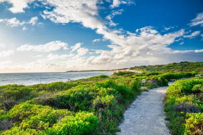 Sandy trail winds through coastal vegetation beside Lake Thetis near Cervantes.