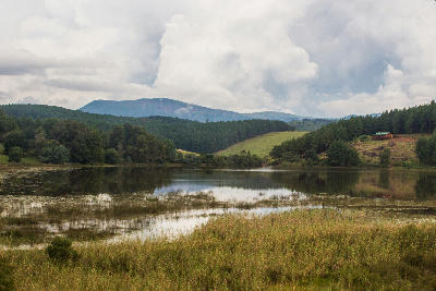 Lake and wetlands in Magoebaskloof with forested hills and the Wolkberg Mountains in the background, Limpopo, South Africa.