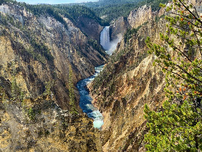 Lower Falls of the Yellowstone River viewed from the Grand Canyon of the Yellowstone