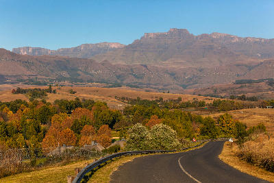 Road through Champagne Valley with autumn foliage and the Champagne Castle massif rising above the Central Drakensberg in KwaZulu-Natal.