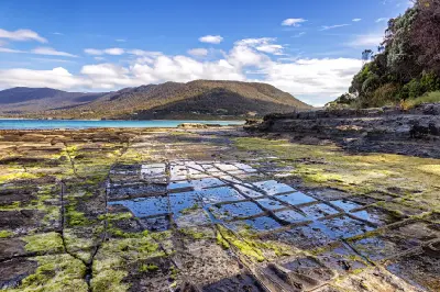 Rectangular and rounded rock formations of the Tessellated Pavement beside Pirates Bay on the Tasman Peninsula, Tasmania.