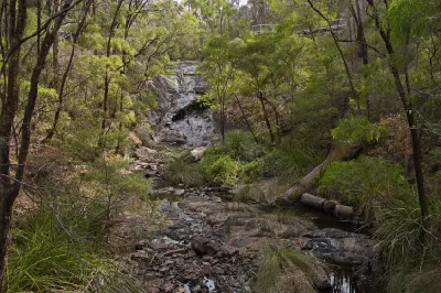 Beedelup Falls and lookout platform surrounded by forest near Pemberton, Western Australia.
