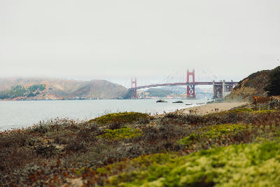 Golden Gate Bridge partially covered by fog from Baker Beach with coastal vegetation in the foreground