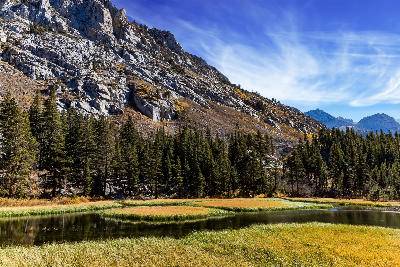 Meadow stream with grasses and pine forest beneath granite mountains in Bishop Creek Canyon, Eastern Sierra Nevada, California